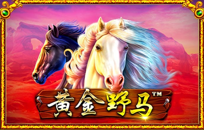 专门研究2121非凡体育app