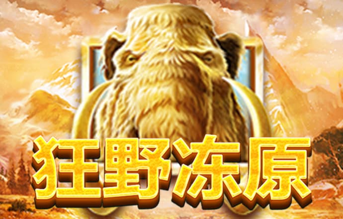 云开·全站